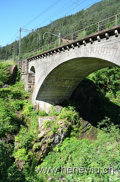 DSC_0046_20110621_046.JPG