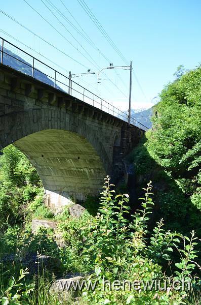 DSC_0047_20110621_047.JPG