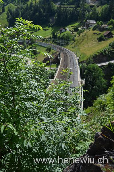 DSC_0269_20110621_269.JPG