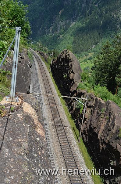 DSC_0270_20110621_270.JPG