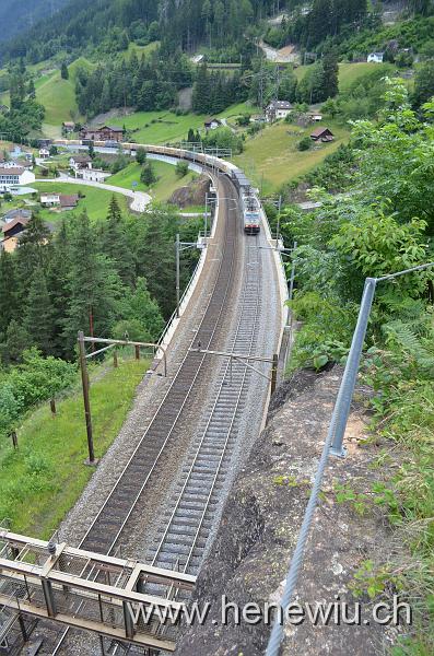 DSC_0275_20110621_275.JPG