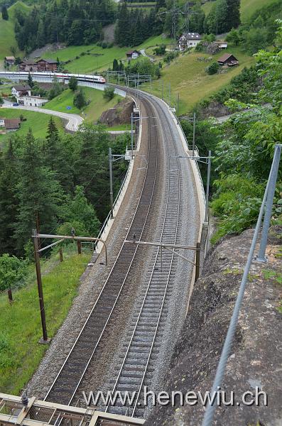 DSC_0290_20110621_290.JPG