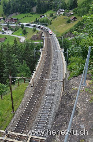 DSC_0291_20110621_291.JPG