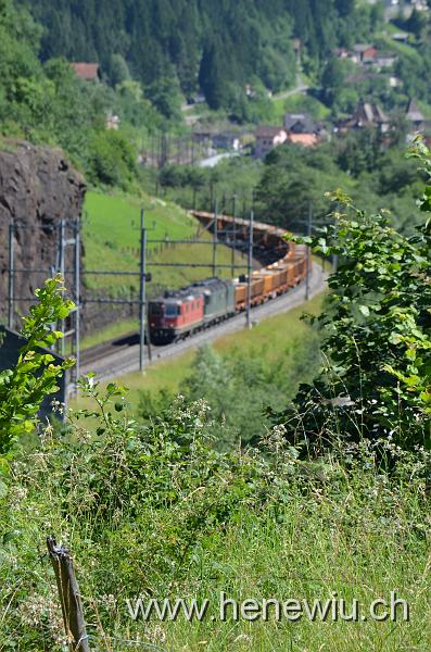 DSC_0075_20110621_075.JPG