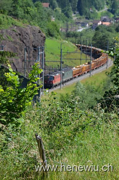DSC_0076_20110621_076.JPG