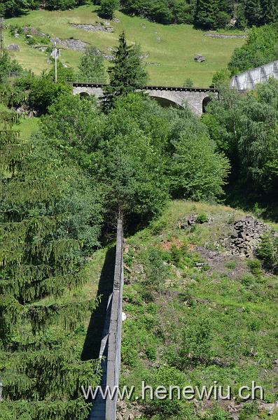 DSC_0095_20110621_095.JPG