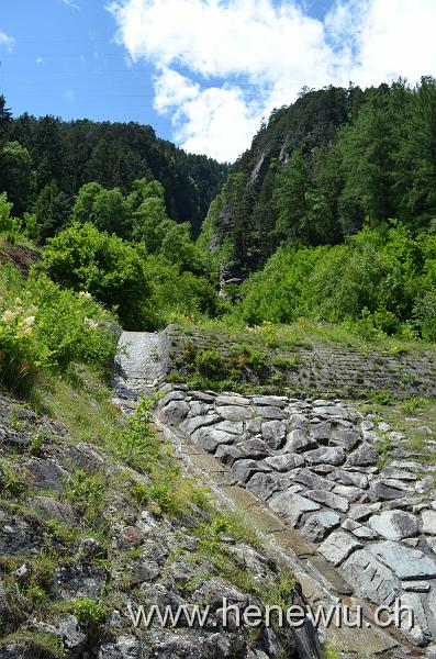 DSC_0216_20110621_216.JPG
