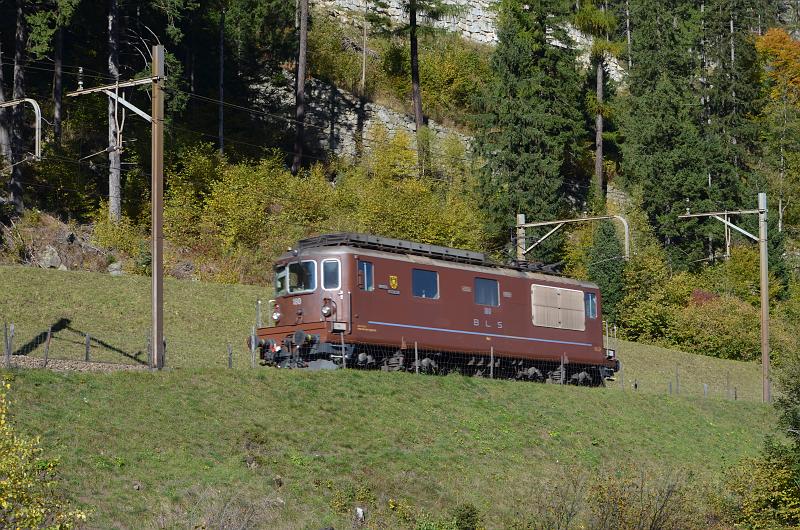 DSC_8581.JPG