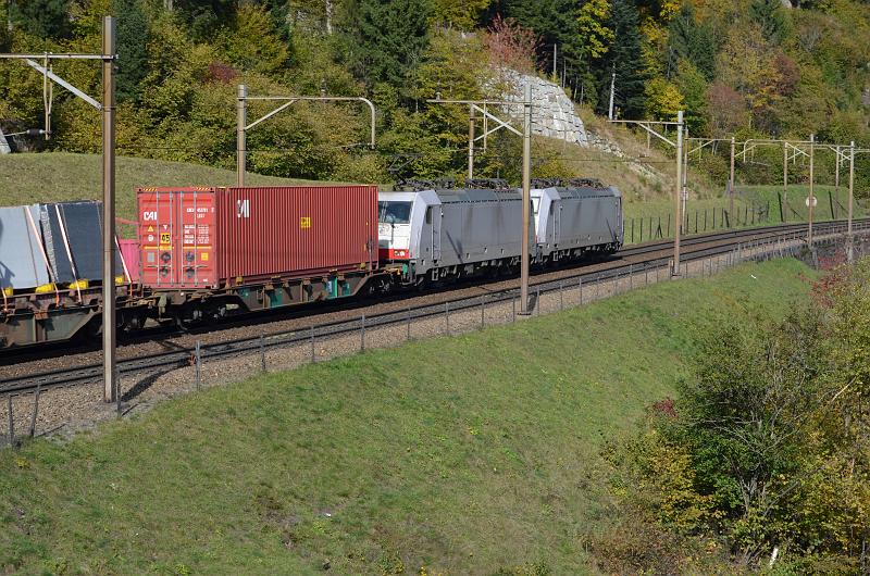 DSC_8649.JPG