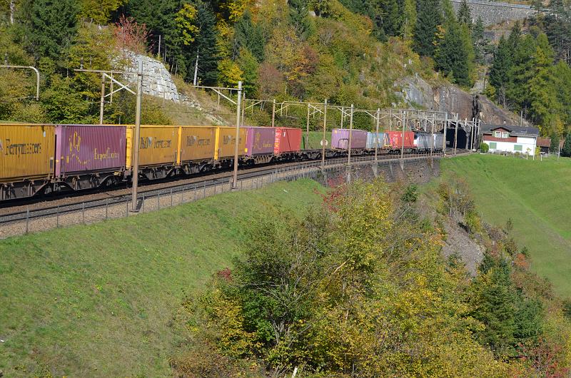 DSC_8650.JPG
