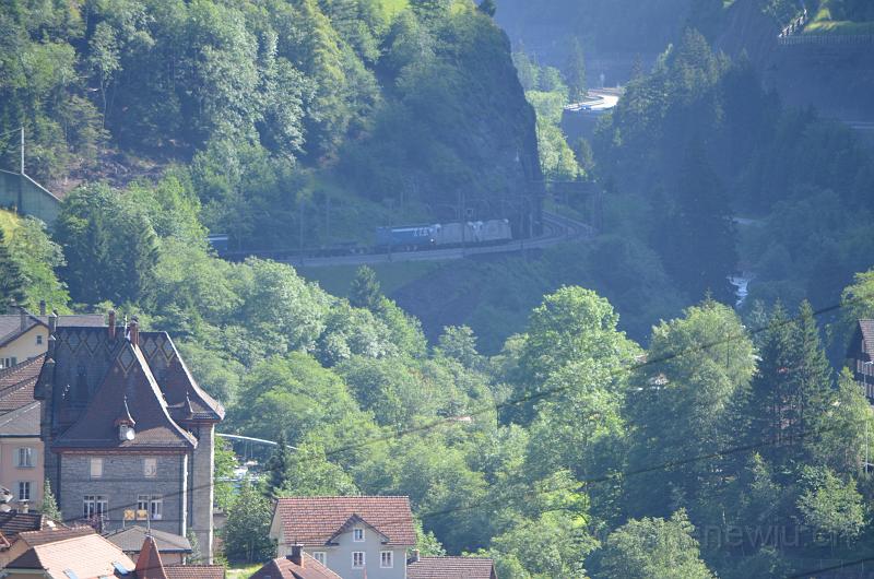 DSC_0038_20110621_038.JPG