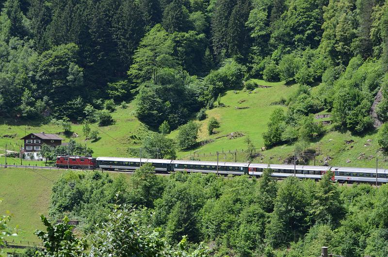 DSC_0155_20110621_155.JPG