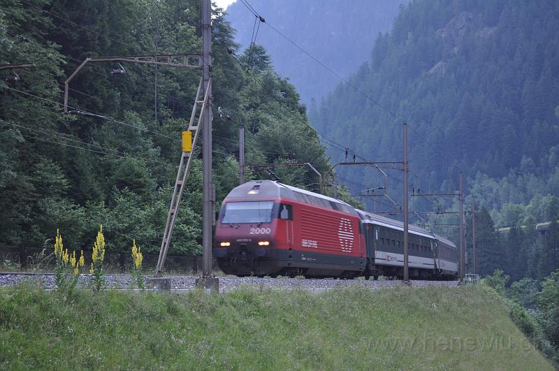 DSC_7329.JPG