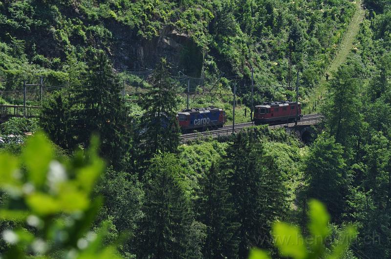 DSC_7519.JPG
