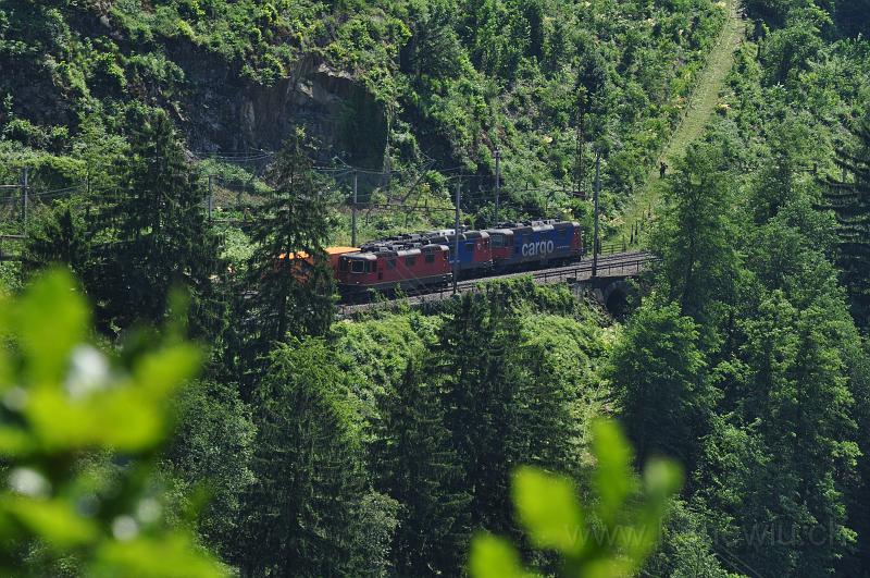 DSC_7520.JPG